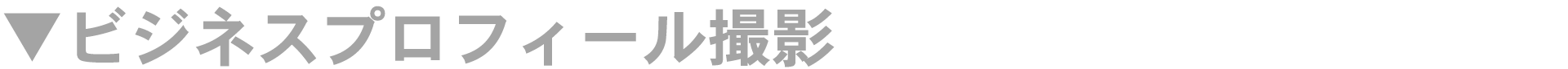 �r�W�l�X�v���t�B�[��